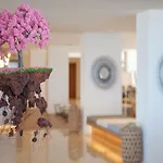إتش إم غران فييستا 4* بلايا ذي بالما